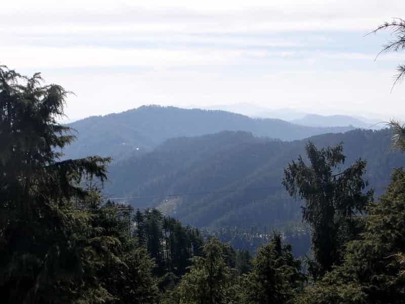 Shimla-Kufri-Kasauli Family Tour 5 Nights: Nature & Fun