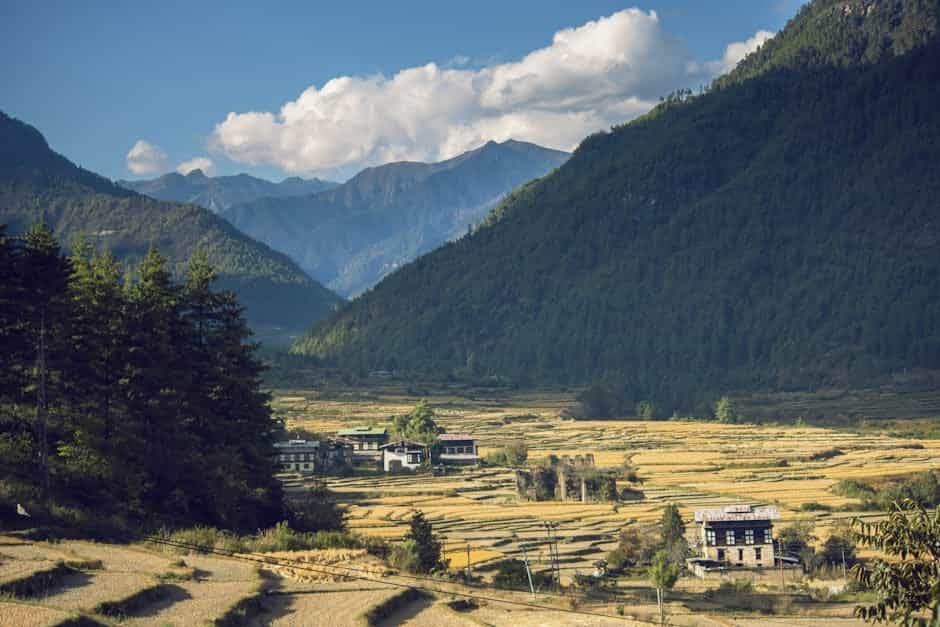 Luxury Cultural Journey: Exclusive Accommodations & Guides