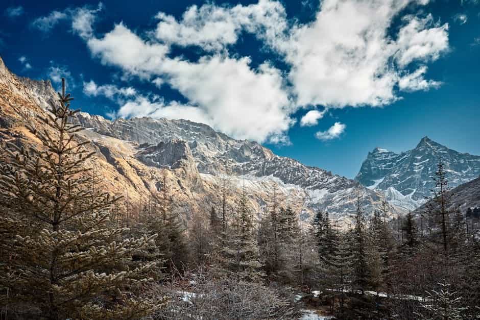 Wildlife & Himalayas Extended: Chitwan, Bardia & Mustang Highlights