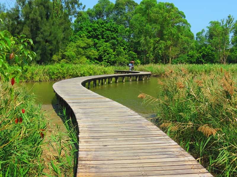 Wildlife & Wetlands 6-Night: Mai Po, Birding & Rural Hong Kong