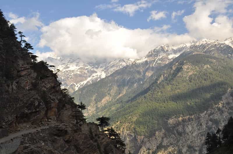 Himachal Wildlife & Birding 7 Nights: Sanctuaries & Guided Trails