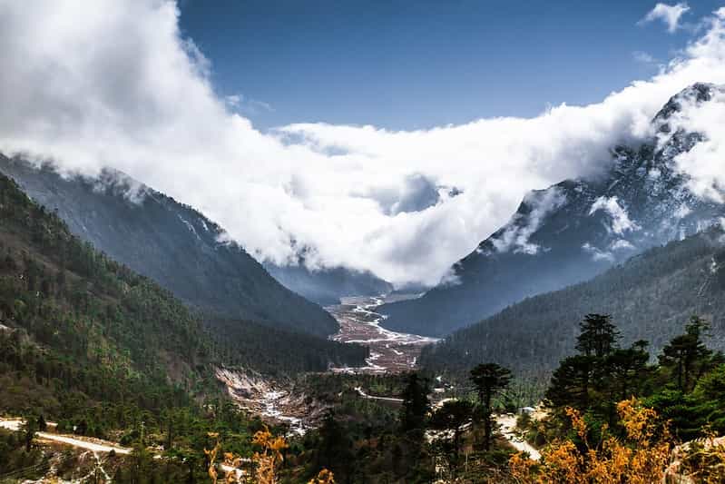 Yumthang Valley Spring Bloom: Lachung Nature Retreat