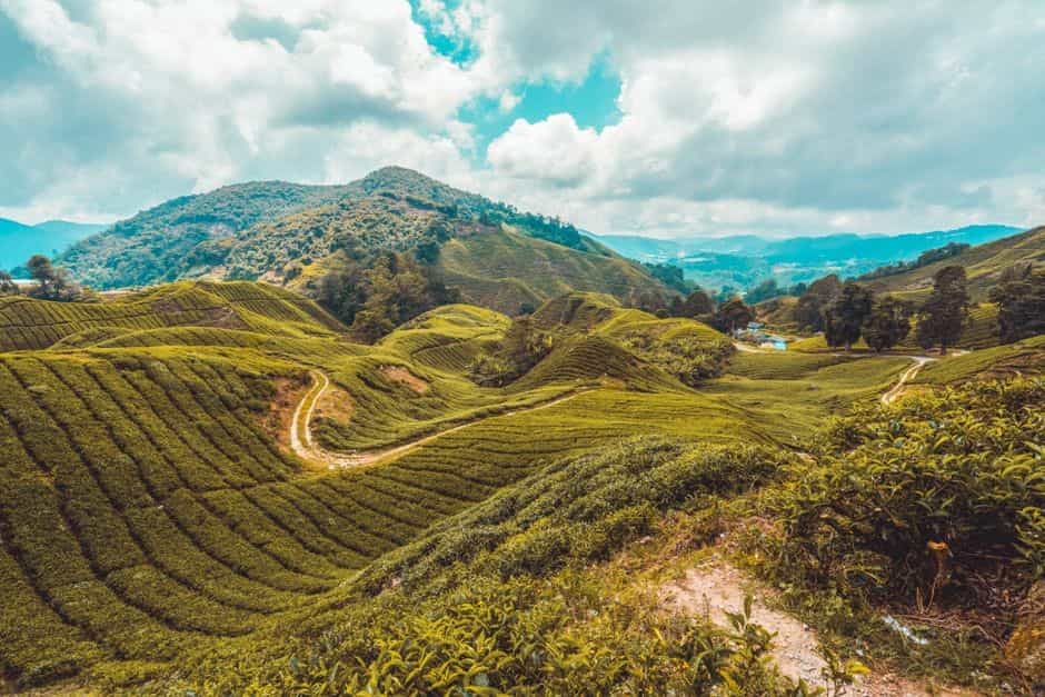 Grand Malaysia Honeymoon: Cameron Highlands, Melaka, Penang & Langkawi