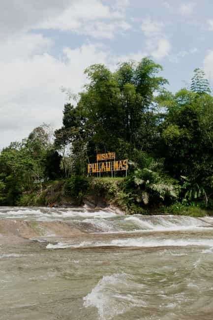 Sabah Wildlife Express: Sepilok Orangutans & Kinabatangan River