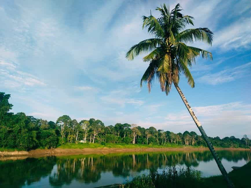 Sarawak Wild: Kuching, Bako National Park & Semenggoh