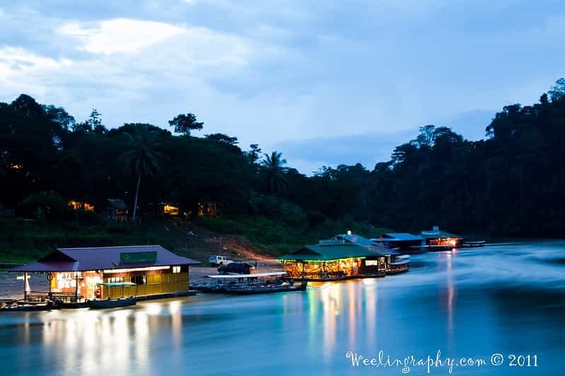 Peninsular Malaysia Wildlife Trail: Taman Negara, Kuala Gandah & Langkawi Mangroves
