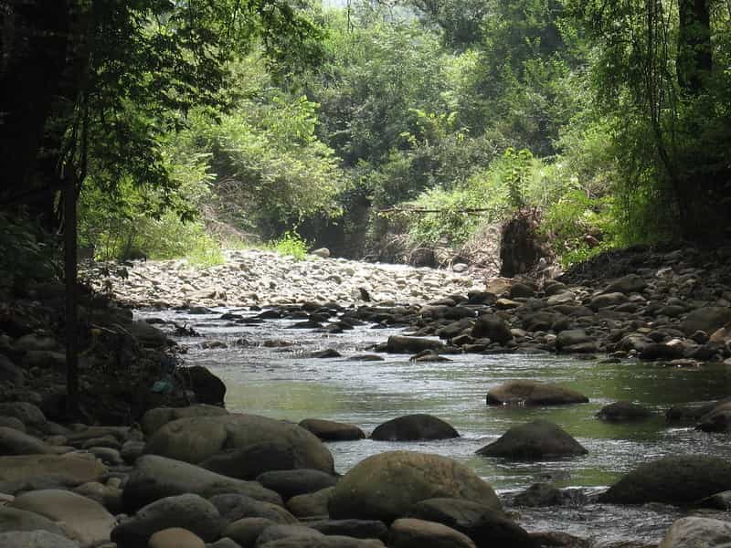 Wilderness & Wildlife: Dachigam National Park Safari from Srinagar