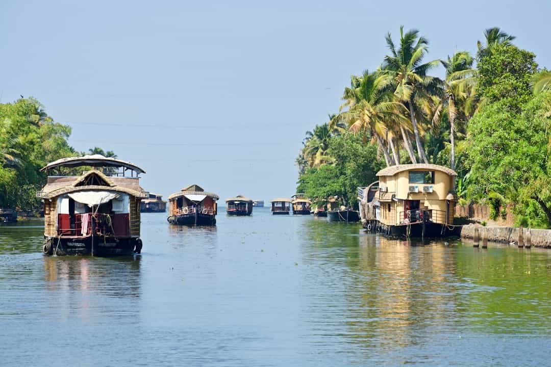 Kerala Family Holiday: Munnar, Thekkady & Houseboat Experience