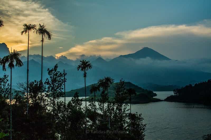 Wayanad Family Adventure: Wildlife, Caves & Tribal Villages