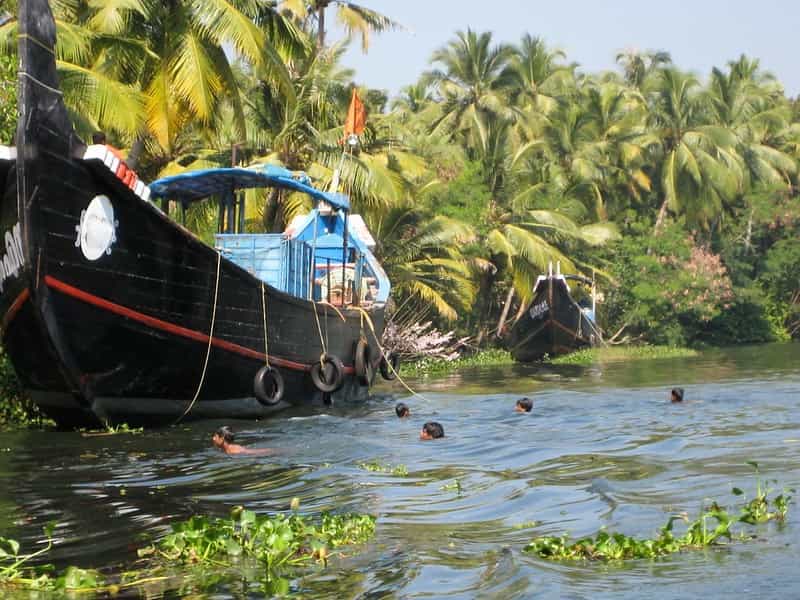 Kerala 7-Night Grand Tour: Munnar, Thekkady, Alleppey & Kovalam
