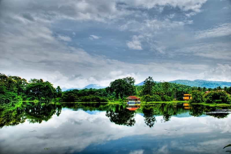 Kerala Birdwatcher’s Special: Thattekad, Kumarakom & Mangrove Trails