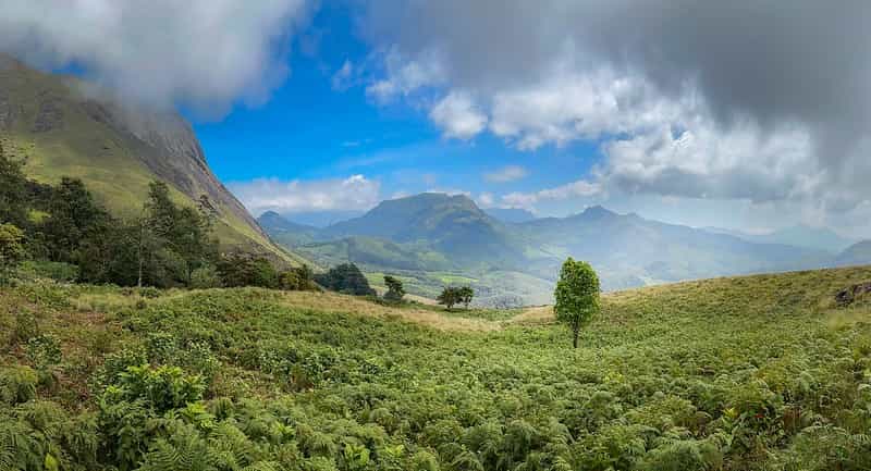 Munnar Photography & Sunrise Tour: Eravikulam National Park