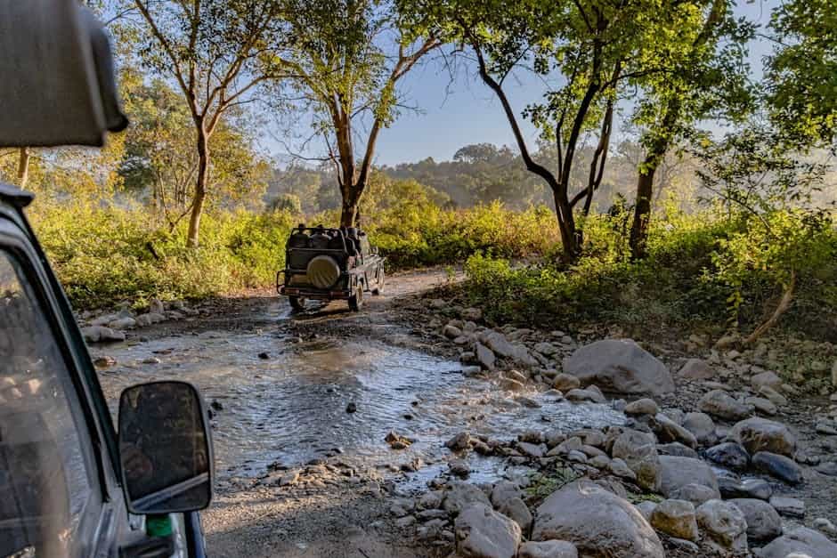 Jim Corbett Family Safari: Corbett National Park Multi-Day Adventure