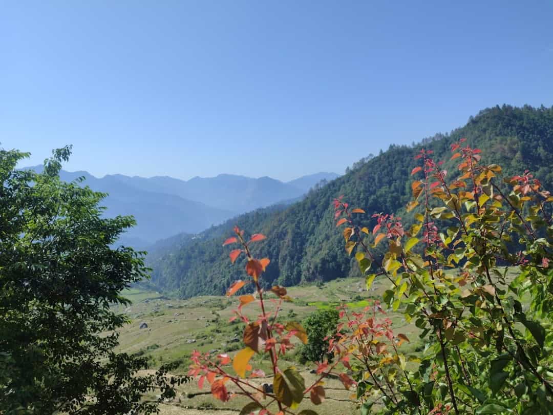 Valley of Flowers Express: Scenic Trek & Hemkund Sahib Visit