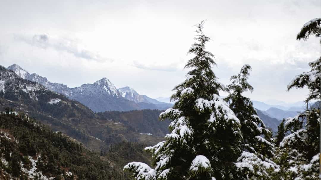 Family Hill Station Tour: Mussoorie, Dhanaulti & Landour Delights
