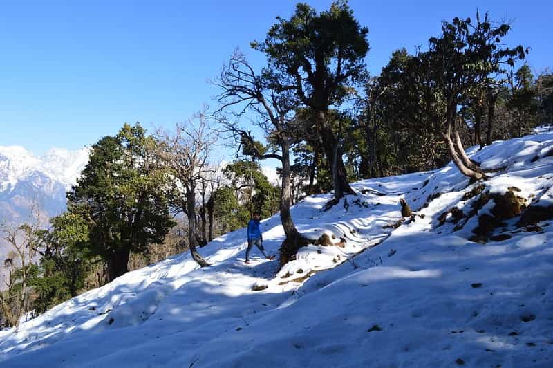 Offbeat Uttarakhand: Munsiyari Trek & Himalayan Villages
