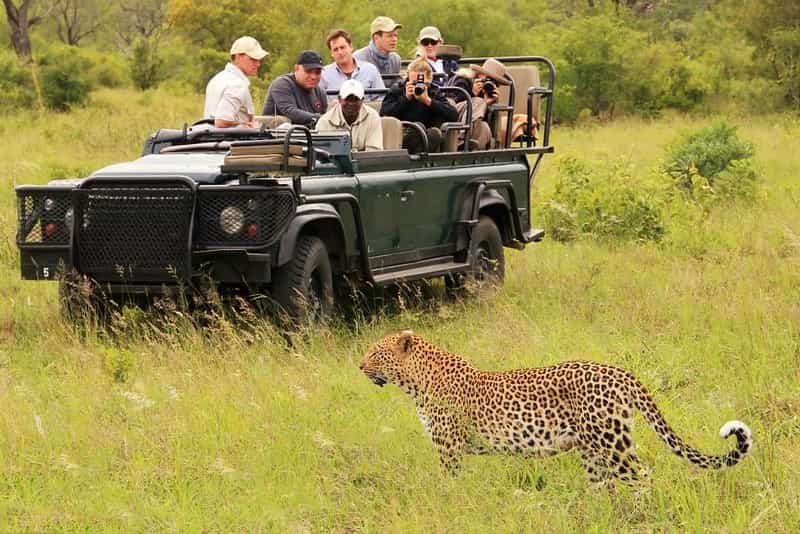 Corbett Night Safari Package: Jungle Lodge, Jeep & Canter Safaris