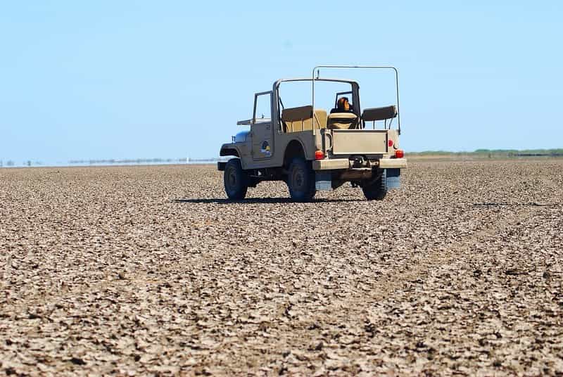 Kutch Rann Express: Great Rann Sunset Short Break