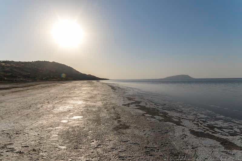 Gujarat Photographer's 7-Night: Rann, Villages & Wildlife