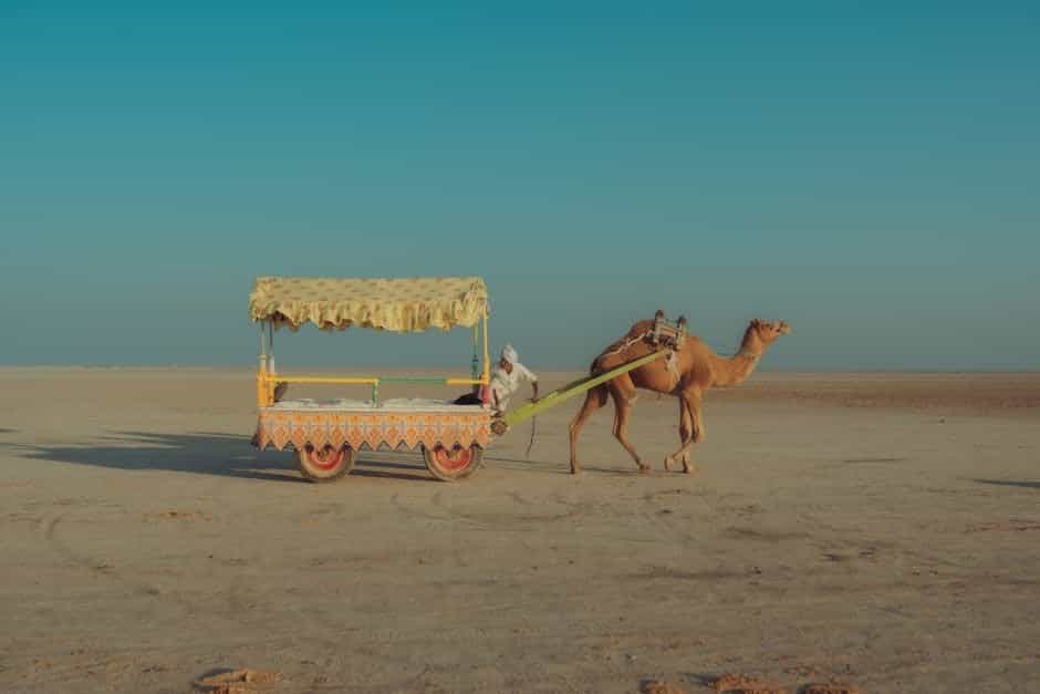 Ultimate Kutch 7-Night: Great Rann, Bhuj & Dholavira Exploration