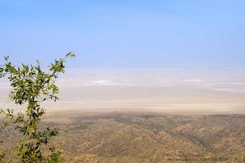 Luxury Rann Retreat 7-Night: Glamping, Gourmet & Culture