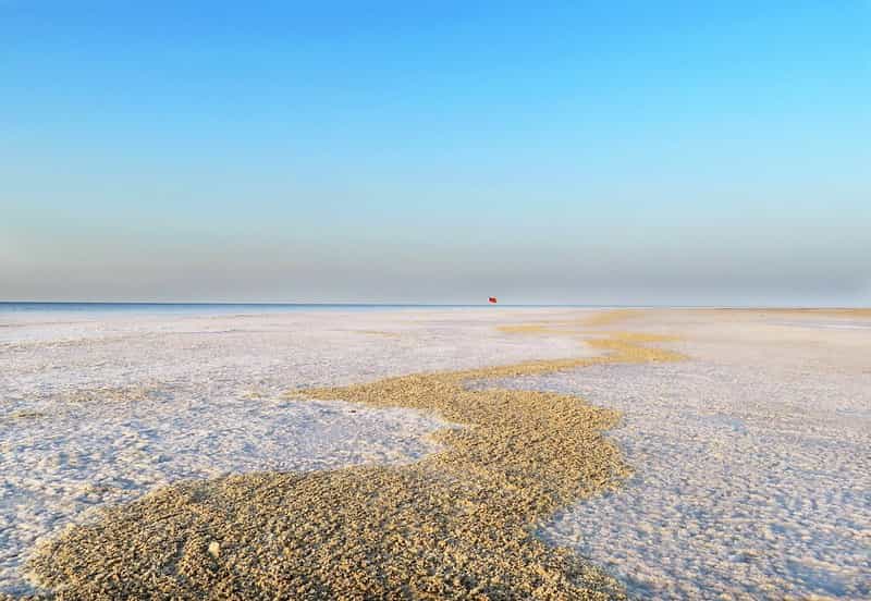 Gujarat Express 4-Night: Fast Track Rann & Gir Highlights