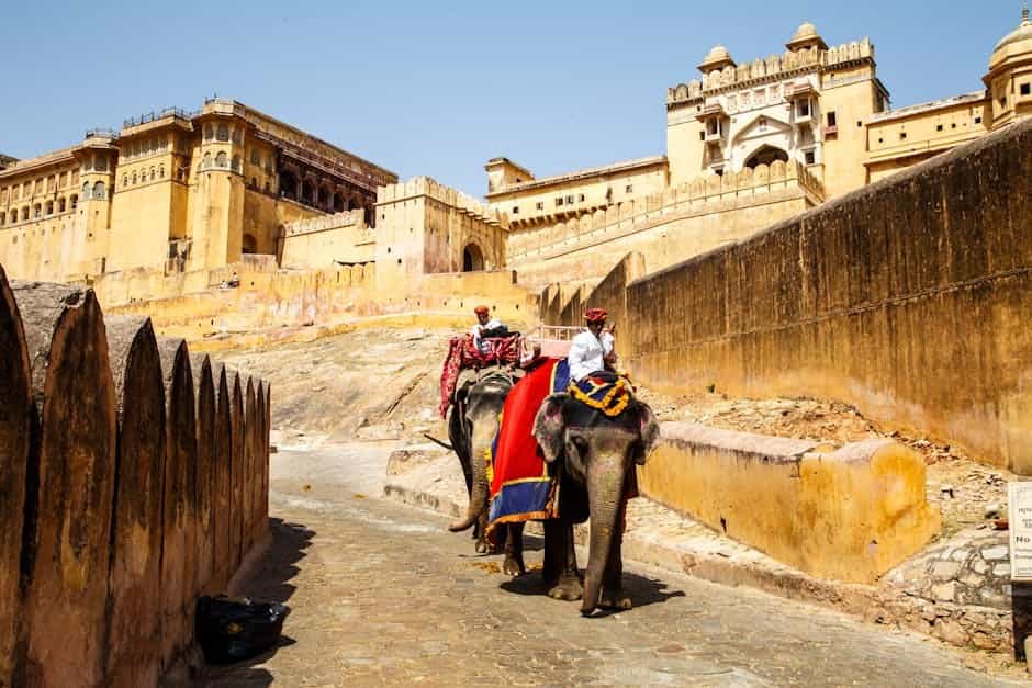 Heritage Jaipur & Amber Experience: Forts, Markets & Local Cuisine