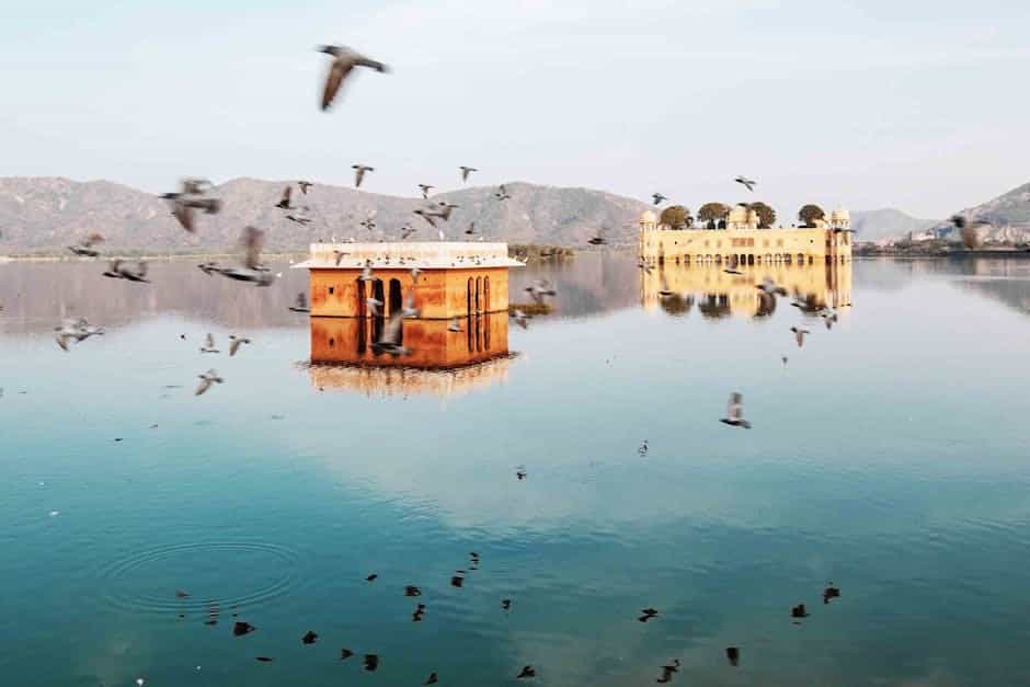 Rajasthan Wildlife & Heritage: Keoladeo Bird Sanctuary & Amber Fort
