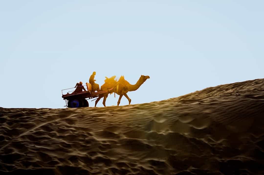 Rajasthan Grand Adventure: Desert Hikes, Fort Trails & Wildlife Safaris
