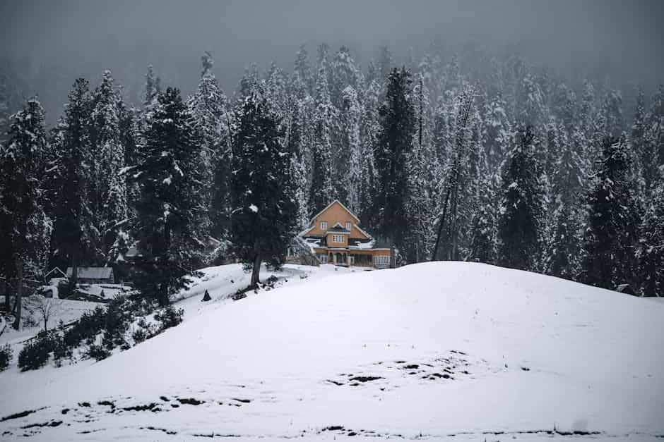 Deluxe Eight-Night Kashmir Retreat: Premium Lodges & Private Experiences