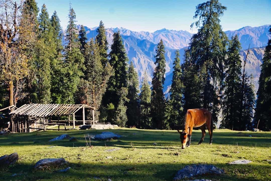 Complete Kashmir Signature (8 Nights): Highlights & Hidden Gems