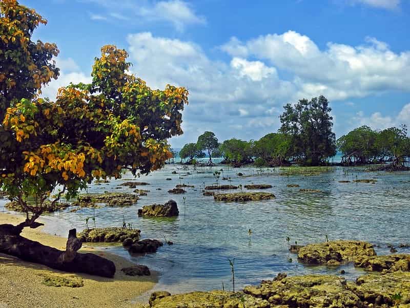 Couples' Coastal Escape: Neil Island Romantic Short Stay