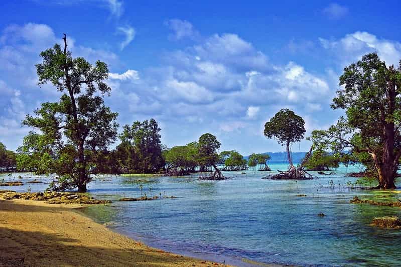 Andaman Explorer: 5-Night Havelock, Neil & Port Blair Tour