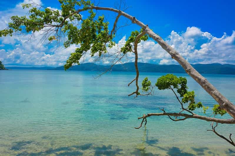 Andaman Wildlife & Birding: Chidiya Tapu to Wandoor Park