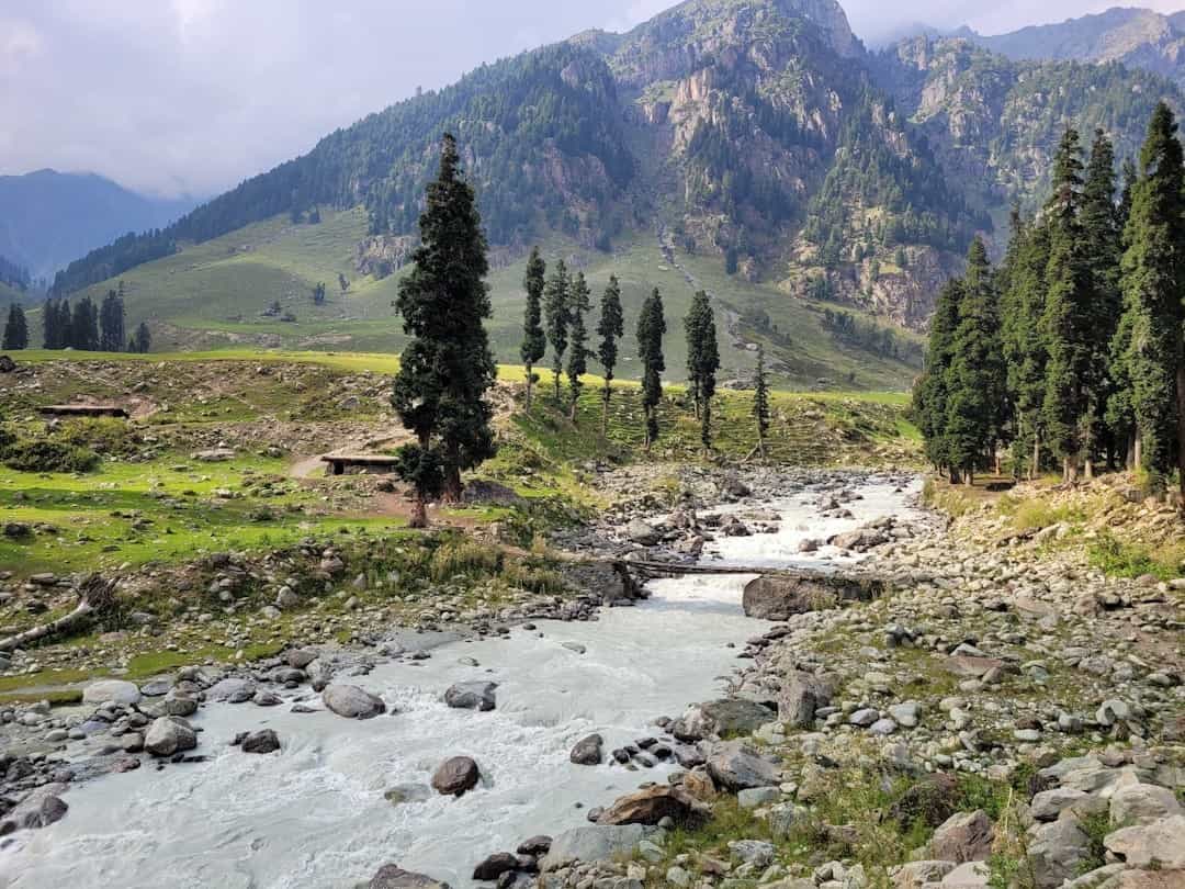 Kashmir Nature Lover's (6 Nights): Meadows, Rivers & Birdwatching
