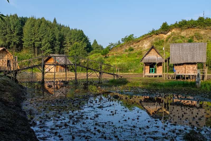 Ziro Valley Quick Retreat: Apatani Culture & Pine Hills