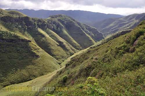 Ziro & Dzukou Valley Trek: Hillside Camping & Tribal Life