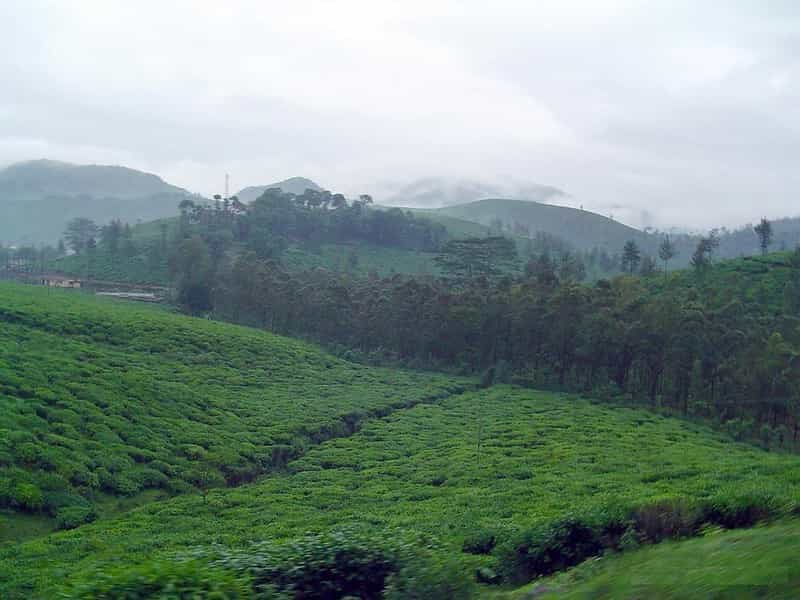 Silchar & Barak Valley Escape: Heritage, Hills & Tea