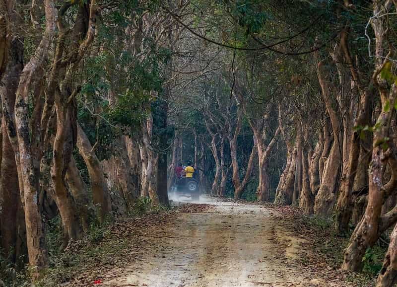 Kaziranga, Majuli & Guwahati Wildlife & Culture Circuit