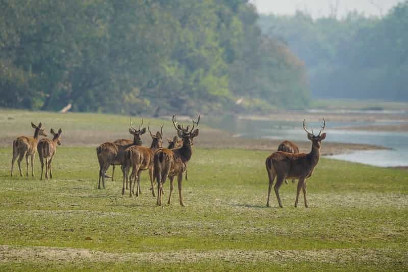 Arunachal & Assam Discovery: Cultural Villages & Wildlife