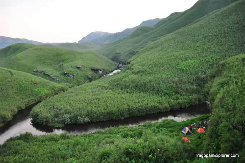 Dzukou Valley Trek & Nagaland Culture Combo: Adventure & Festivals