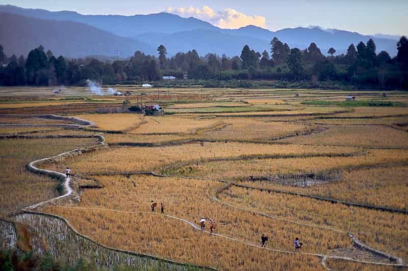 Seven Nights in Arunachal: Tawang, Ziro & Tribal Encounters