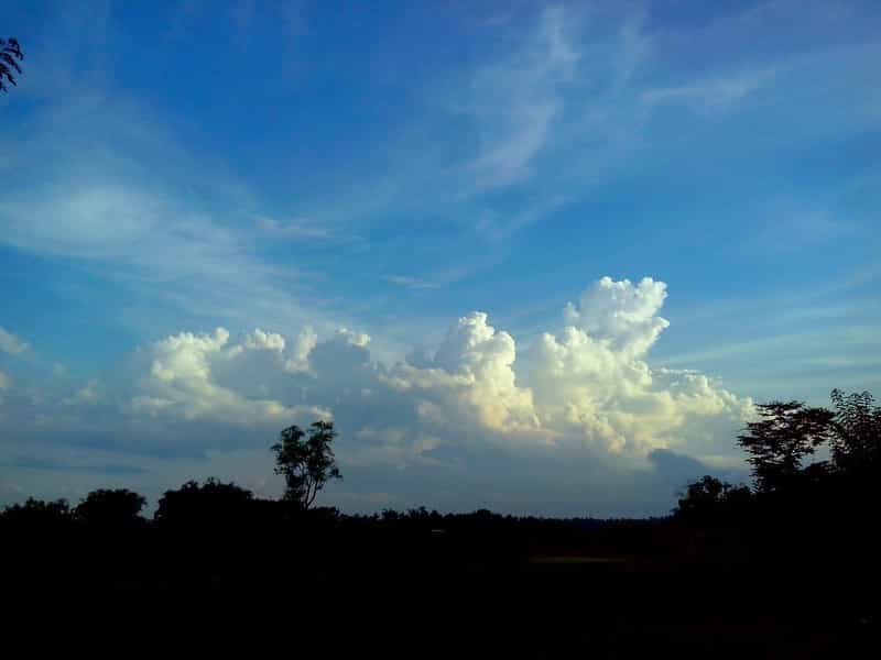 Tea Garden & Heritage Stay: Jorhat & Sivasagar Deluxe Experience