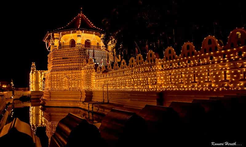 Kandy Cultural Short Break: Temple of the Tooth & Tea Trails