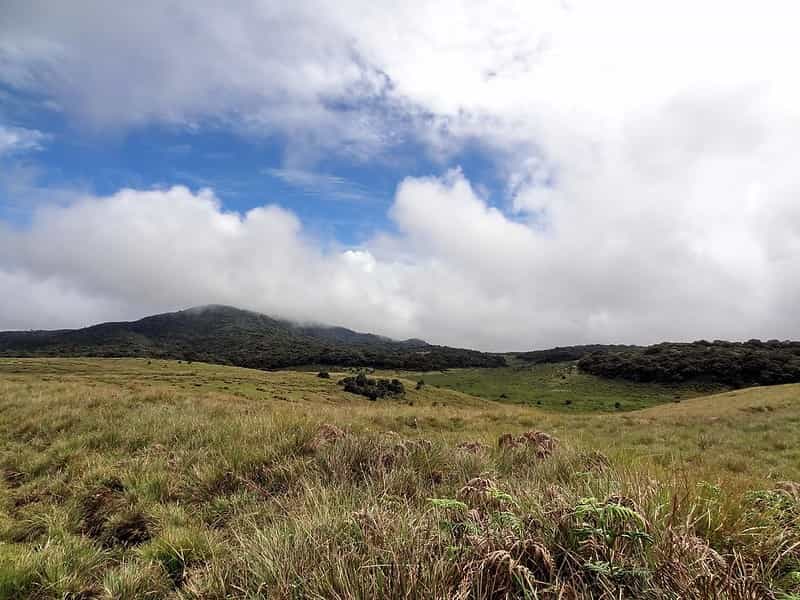 Wildlife and Tea Country: Nuwara Eliya & Horton Plains 4-Night Escape