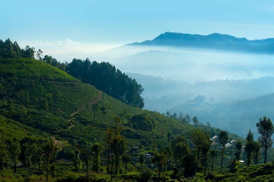 Tea Plantations and Scenic Train: Ella to Nuwara Eliya 5-Night Tour