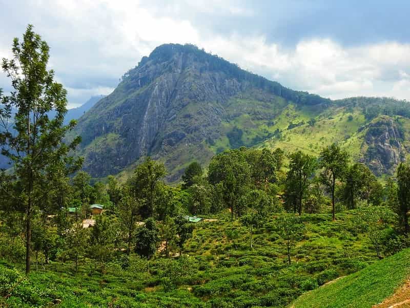 Adventure Highlands: Ella, Little Adam's Peak & Horton Plains 6-Night Trek