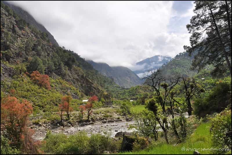 Tirthan Valley Nature Escape 5 Nights: Trout & Trek Trails