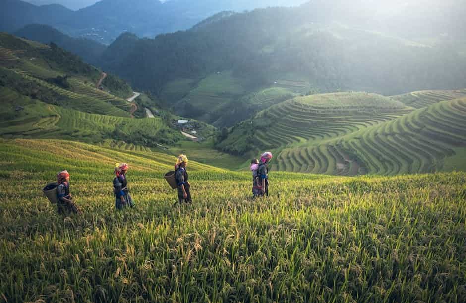 Northern Vietnam Rice Terraces & Cultural Trails: 6-Night Sapa to Bac Ha Tour
