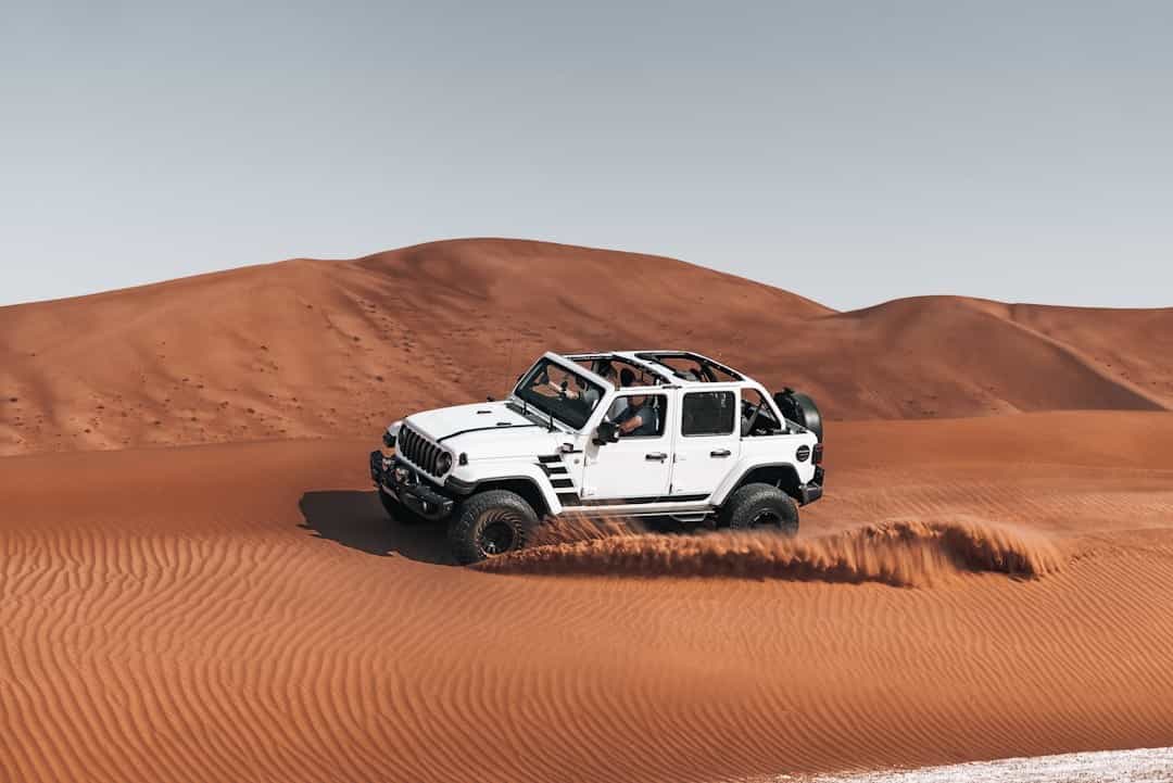 Adventure & Wildlife: Desert Safari with Arabian Wildlife Excursion